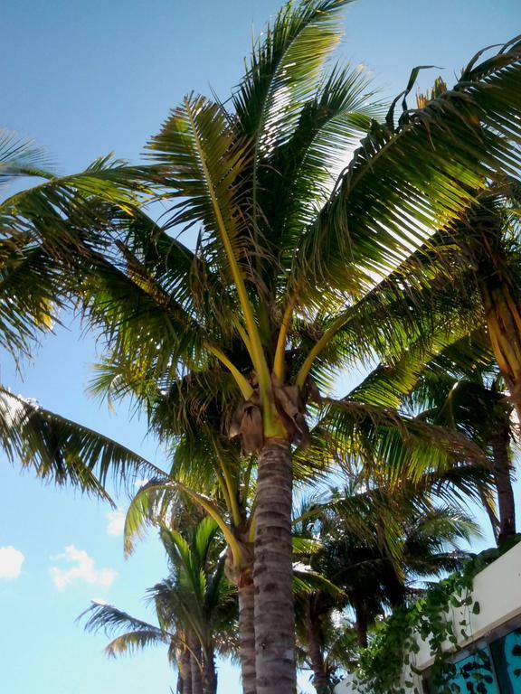 Appartamenti Melissa 2 Playa del Carmen Rom bilde